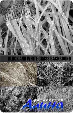 Stock Photo: Black and white grass backround | Черно-белый фон с травой