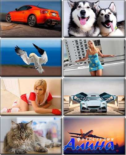 Computer Desktop Wallpapers Collection 736