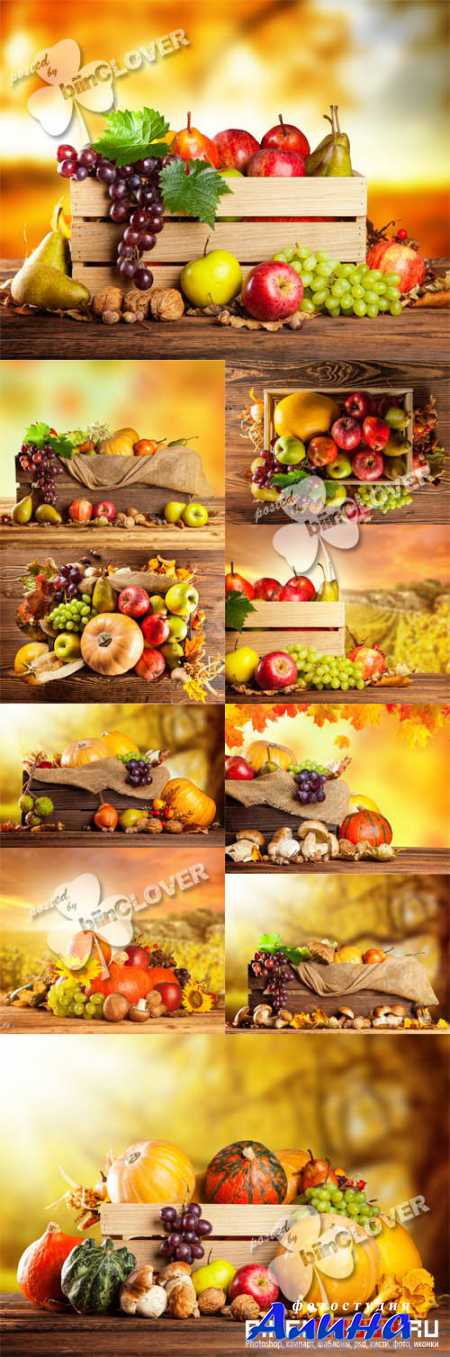 Autumn still life with leaves, grapes, pumpkins and apples