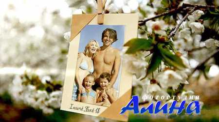 Photos Hanging in an Orchard