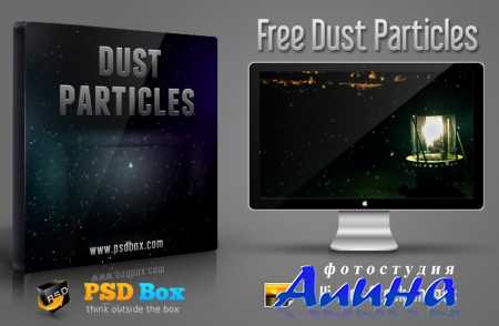 Dust Particles