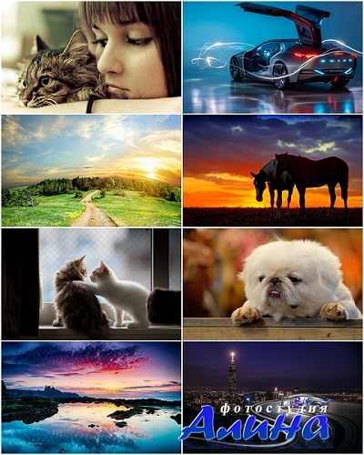Обои Quality collection - desktop HD wallpapers #658 Quality collection - desktop HD wallpapers #658