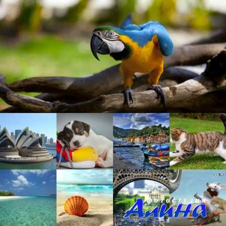 Обои для рабочего стола - Incredible Mixed Wallpapers # 58