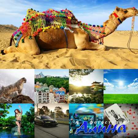 Обои для рабочего стола - Incredible Mixed Wallpapers # 57