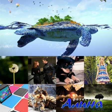 Обои для рабочего стола - Incredible Mixed Wallpapers # 53