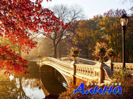 Fotolia - Природа