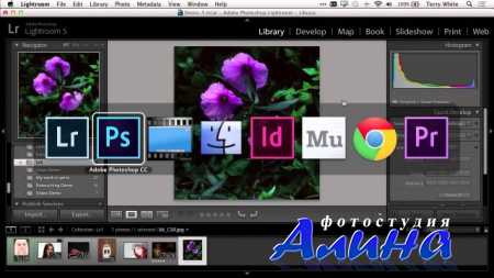 Photoshop Creative Cloud. Новинки глазами пользователя