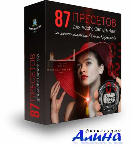 Евгений Карташёв - 87 пресетов для Adobe Camera Raw