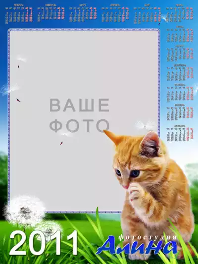 Календарь для Photoshop - Милый котенок 2011