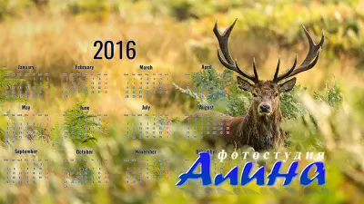Календарь на 2016 год - Благородный олень (PNG, PSD)