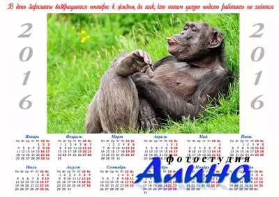 Календарь 2016 - Работать лень