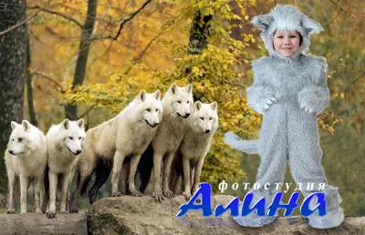 Шаблон для мальчика - Вожак стаи