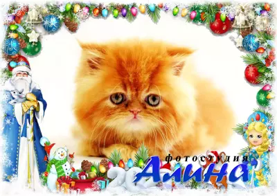 Новогодняя рамка для фотографии - Мой любимый рыжий котик