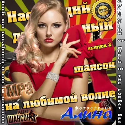 Настоящий душевный шансон на любимой волне выпуск 2 (2015)