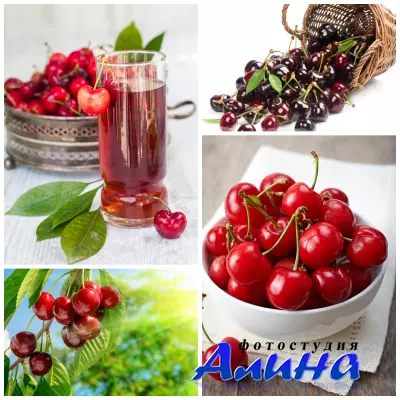 Черешня - растровый клипарт